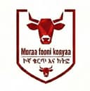 Kogna Kurt and Lounge logo with red bull emblem